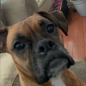 Meet your Posher, Jeff